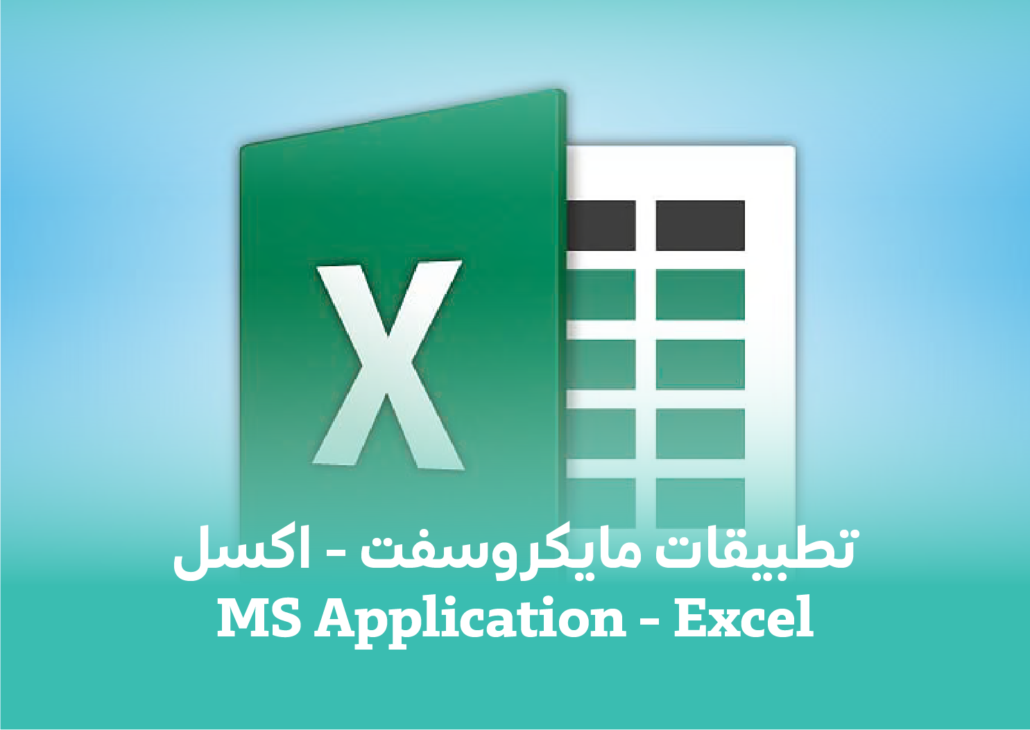 MS Applications - Excel