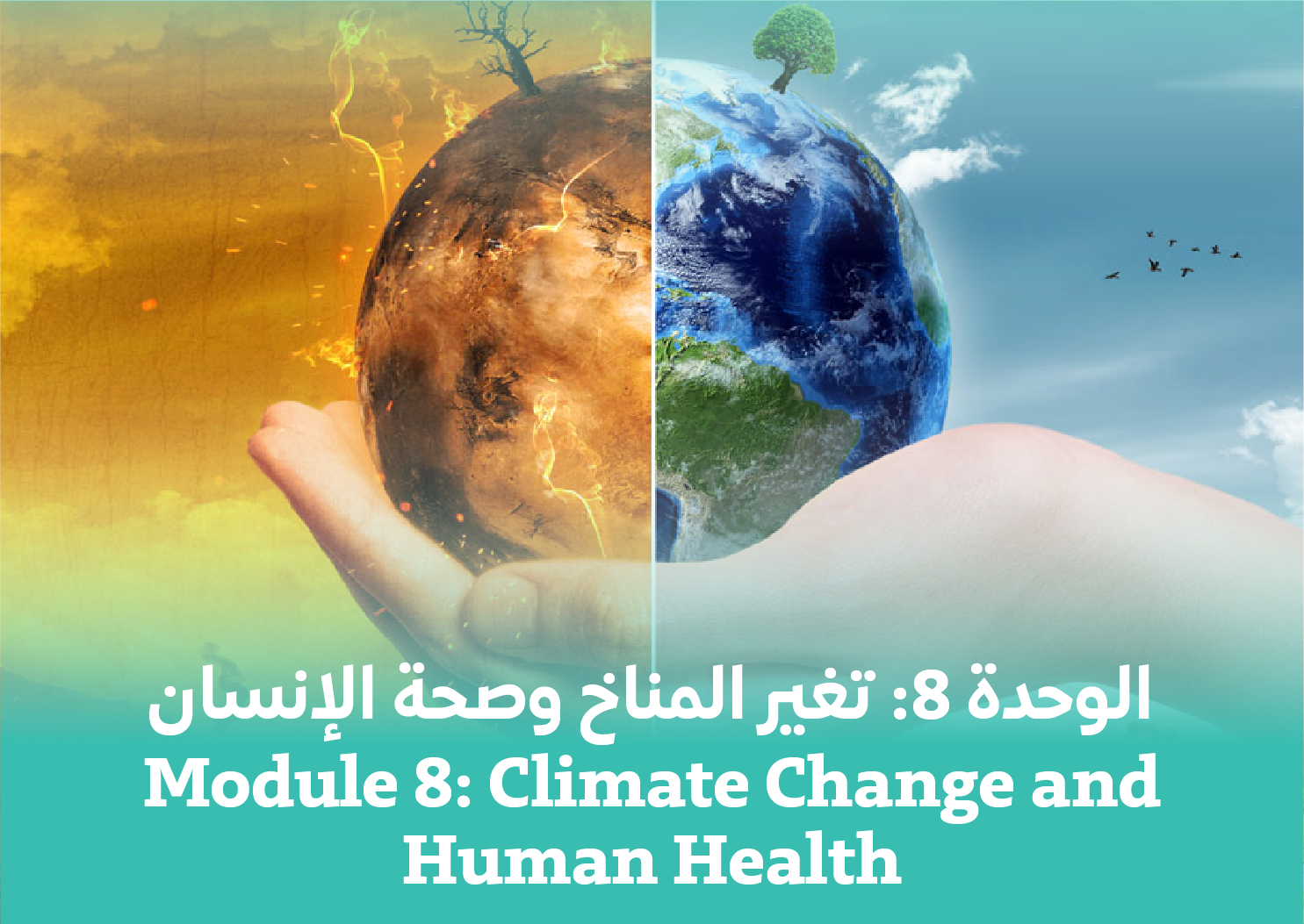 Module 8: Climate Change and Human Health