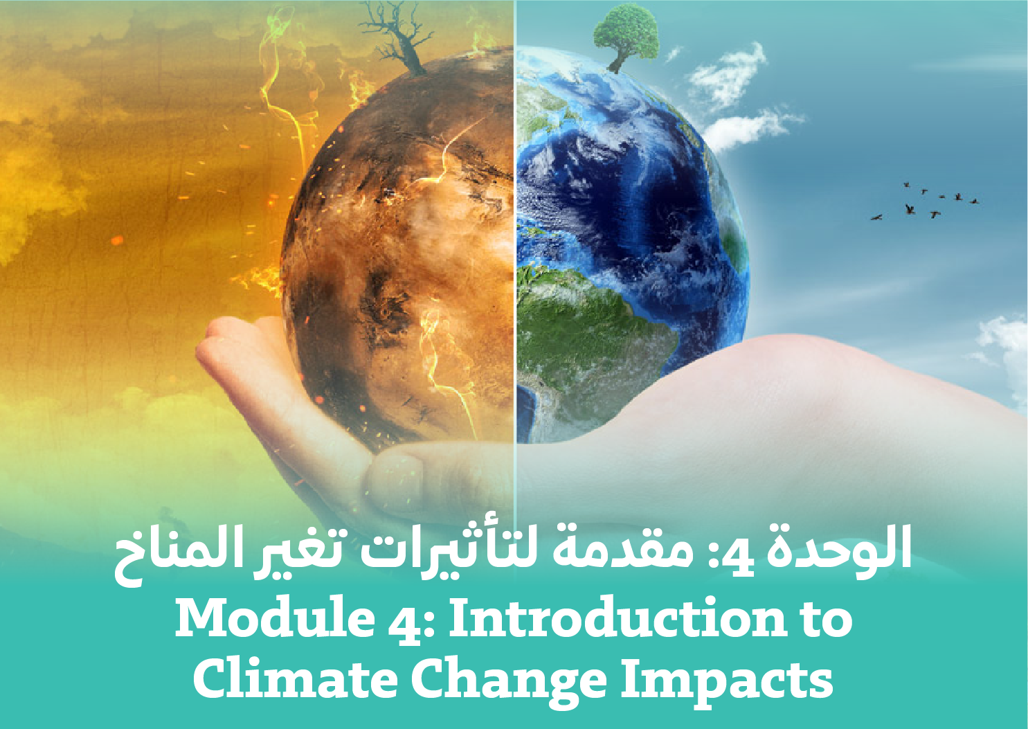 Module 4: Introduction to Climate Change Impacts