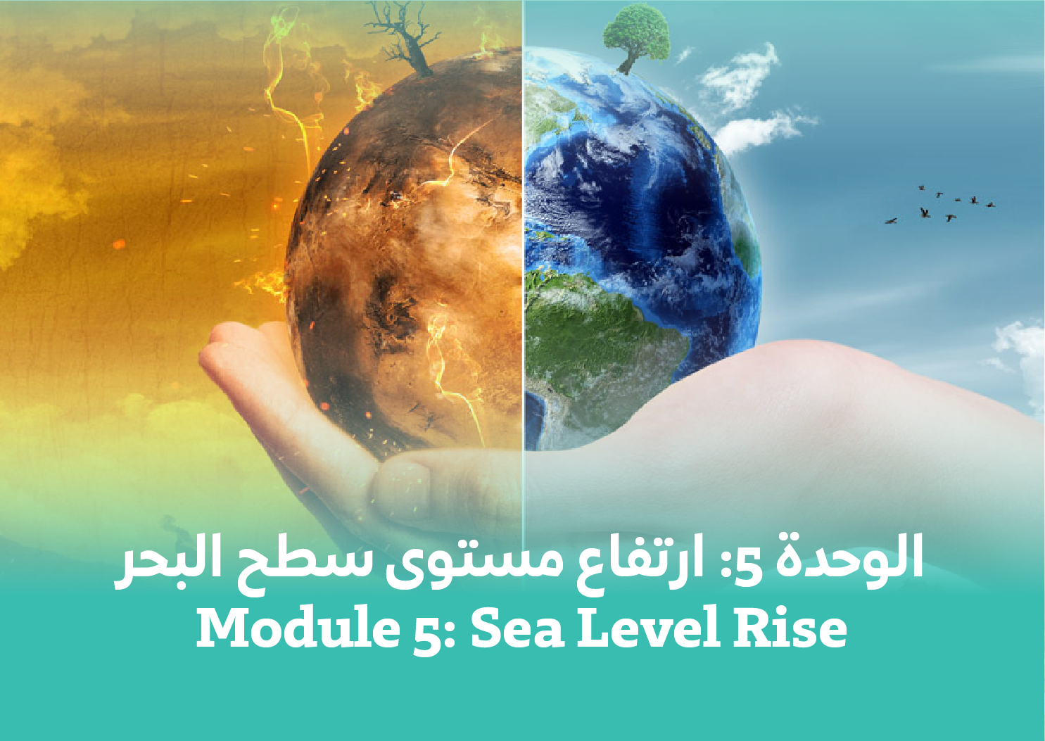 Module 5: Sea Level Rise