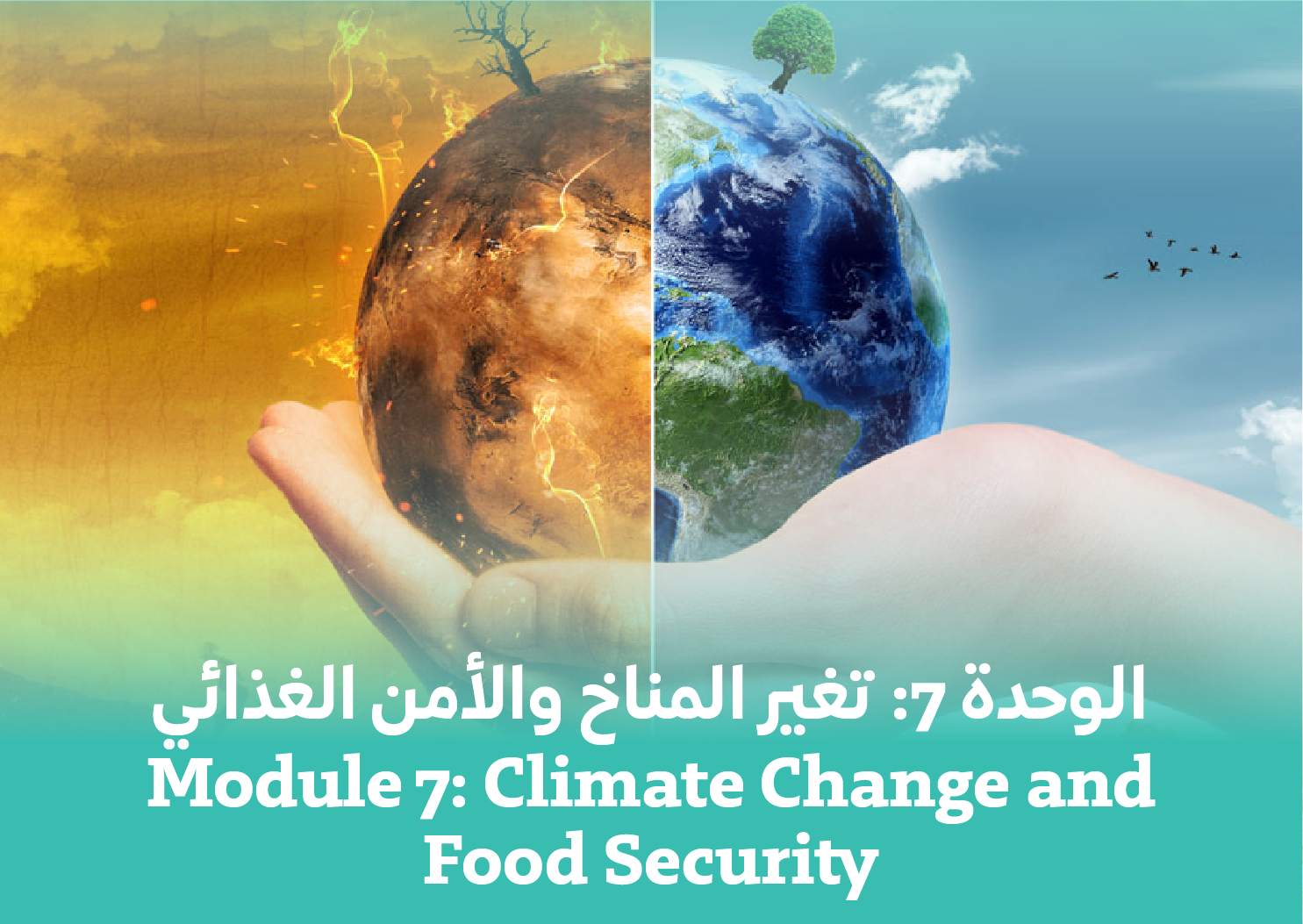  Module 7: Climate Change and Food Security