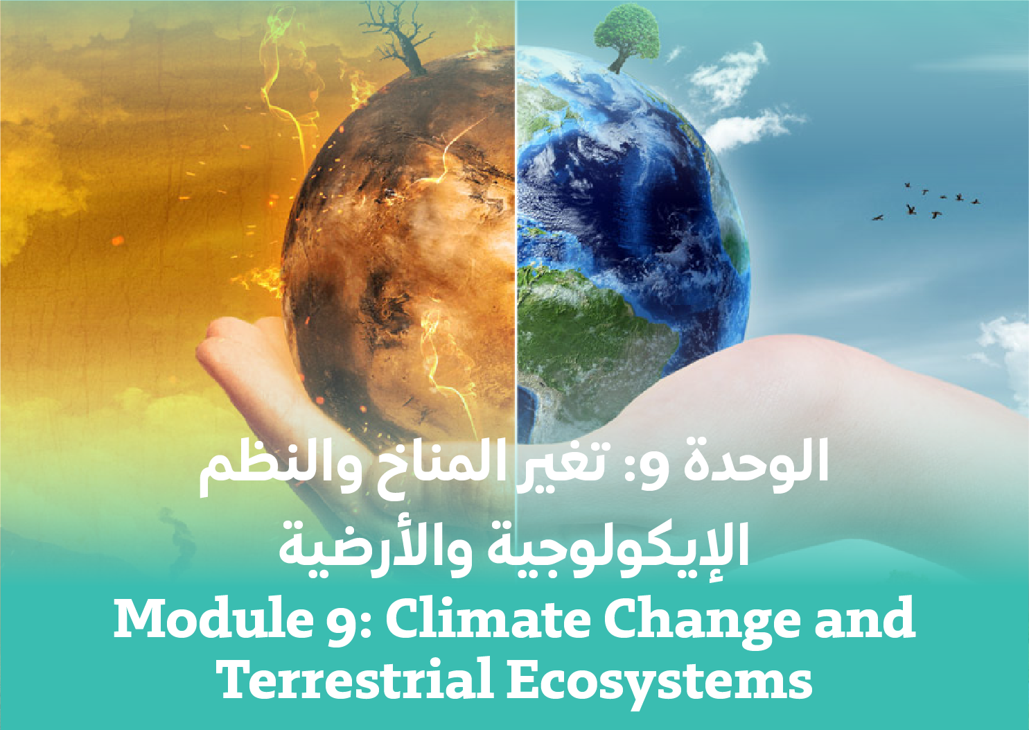 Module 9: Climate Change and Terrestrial Ecosystems