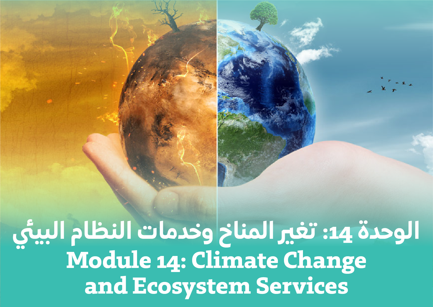 Module 14: Climate Change and Ecosystem Services