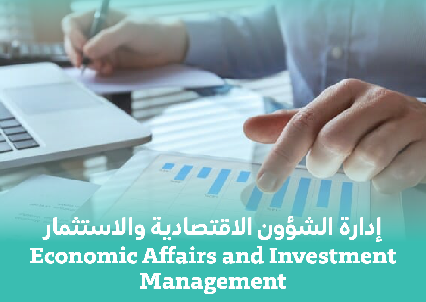 Economic Affairs and Investment Management