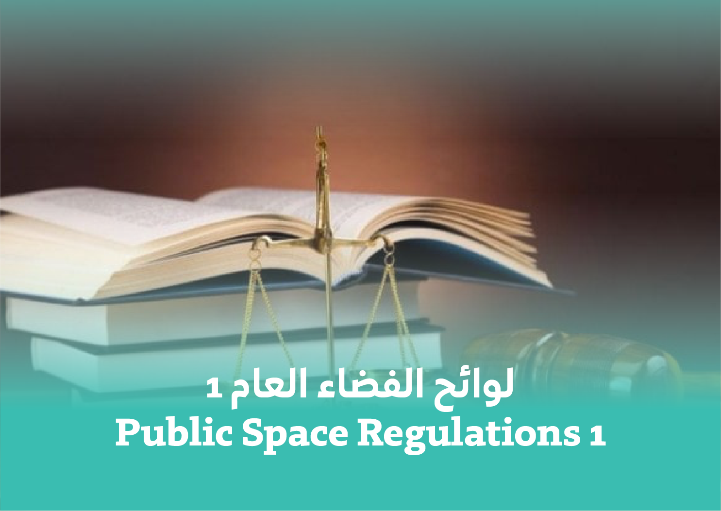 Public Space Regulations 1
